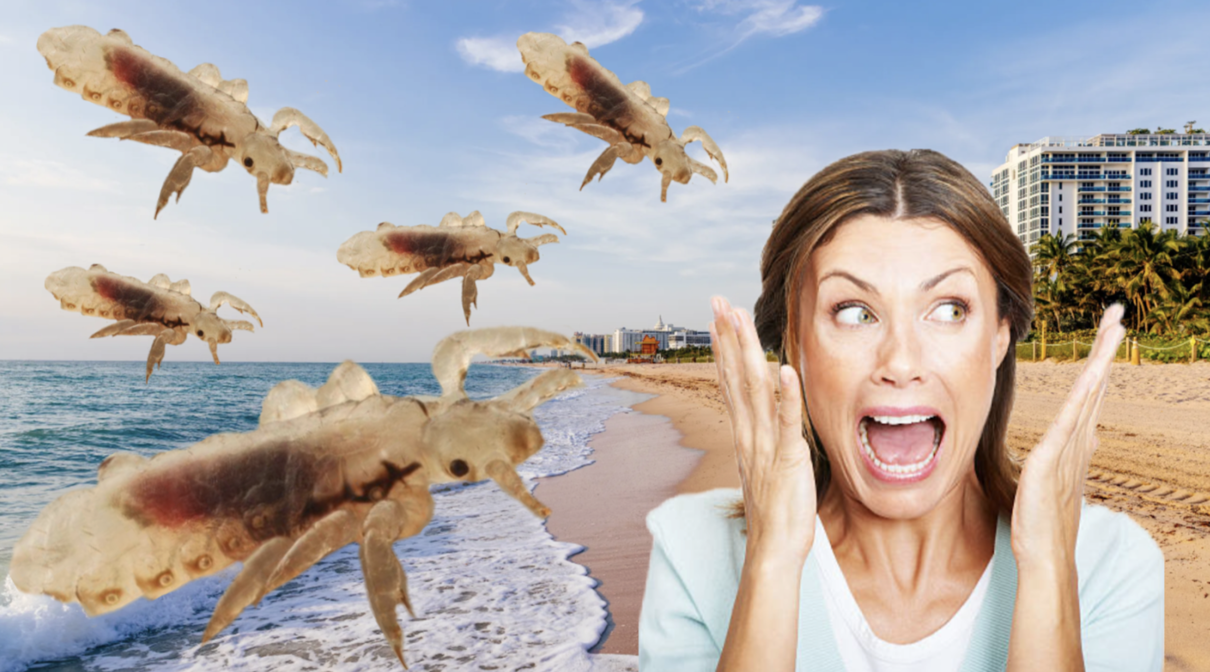 How to Avoid Getting Lice in Your 20-Person Spring Break Airbnb